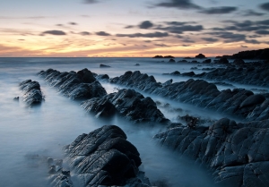 Photograph Short listed in OPOTY 2011