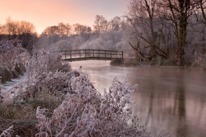 Hampshire and Isle of Wight Wildlife Trust Prize Winner
