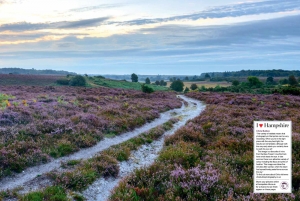 Hampshire Life Magazine double page spread