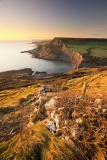 Chapman’s Pool