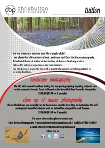 Tuition Flyers for Art Markets