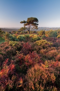 Photograph Short listed in Take a View Landscape Photographer of the Year 2012