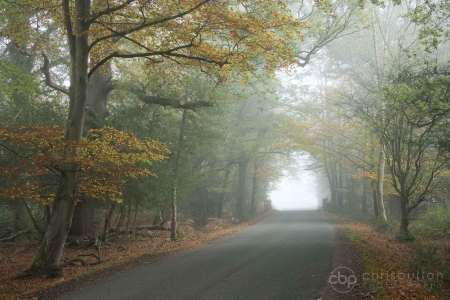 Bolderwood Drive
