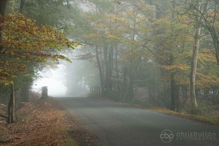 Bolderwood Drive