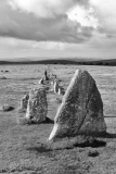 Merivale Stone Rows