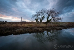 Fawley Power Station
