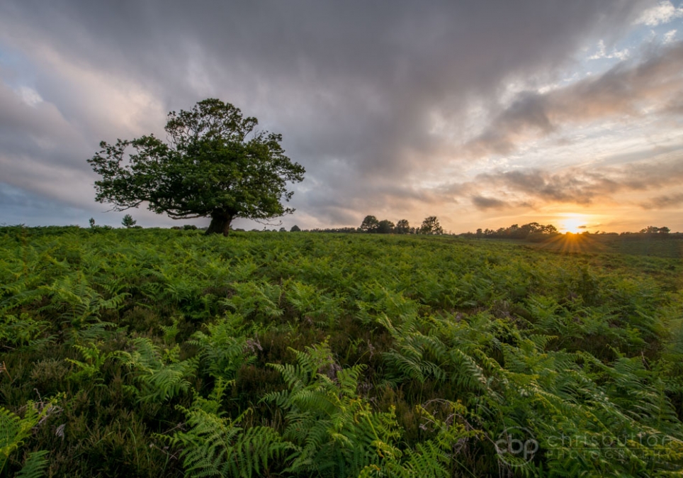 Fritham Cross