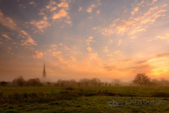 Harnham Water Meadows