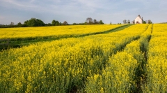 St Hubert’s Church