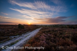 Longslade Bottom