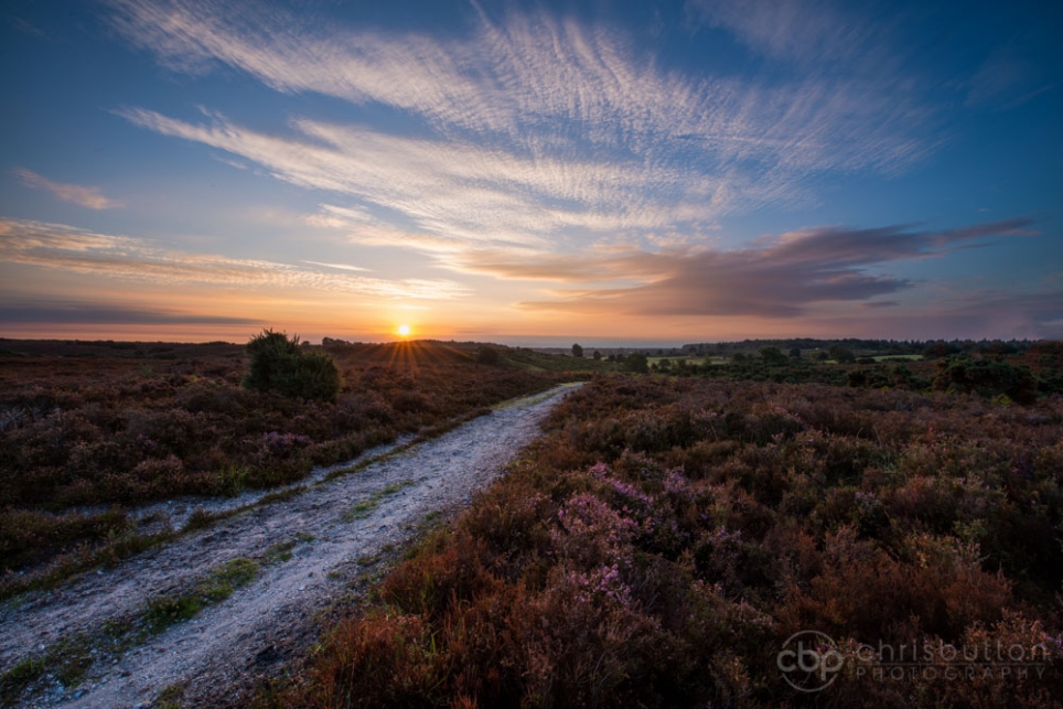 Longslade Bottom