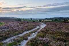 Daybreak at Longslade Bottom