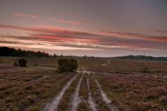 Tracks into the Sunset