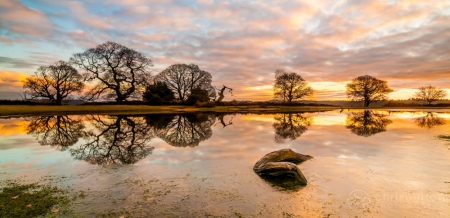 Mogshade Reflections