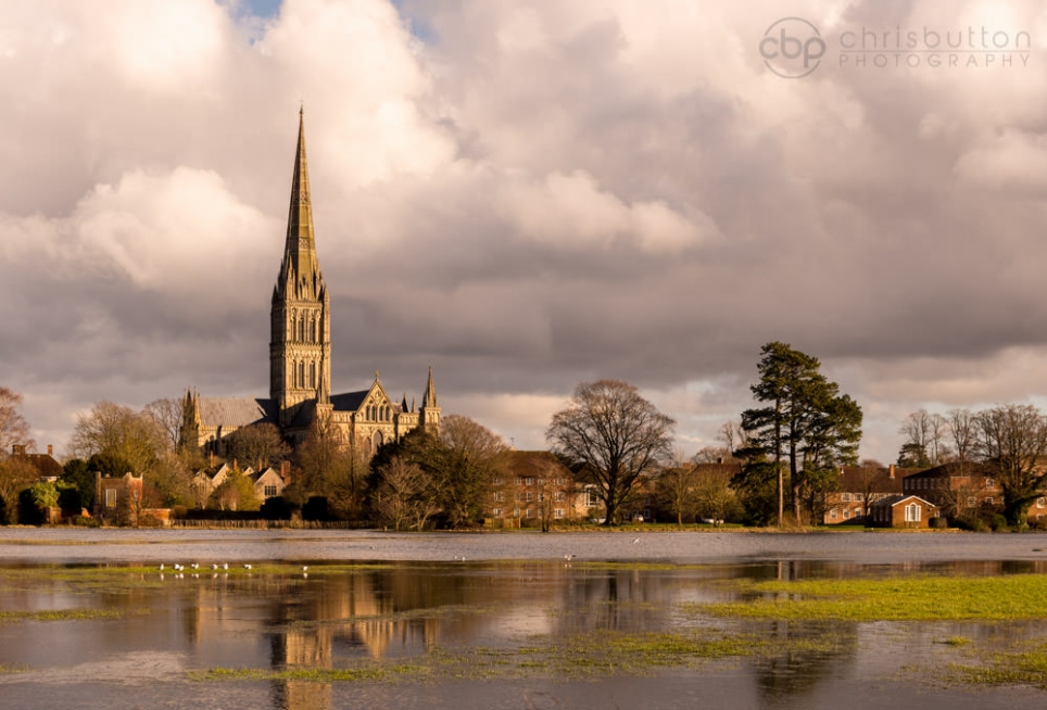 Flooded Meadows