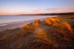 Studland Beach