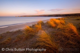 Studland Beach