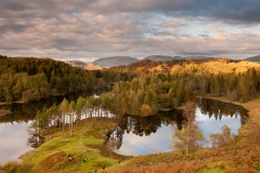Tarn Hows