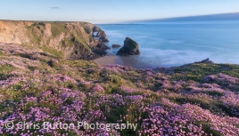 Bedruthan Steps