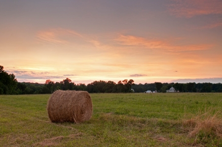 The Final Bale