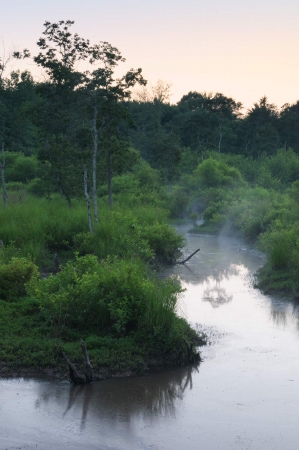 The Marsh at Beaverdam