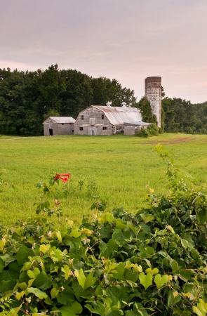 The White Barn