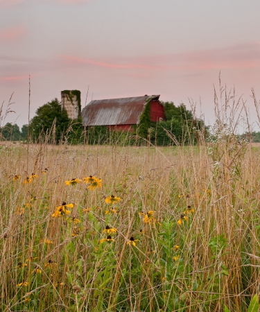The Ivy Barn