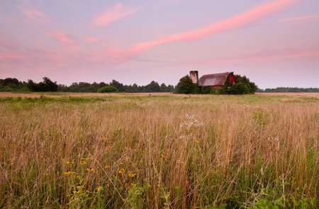 Pink Clouds