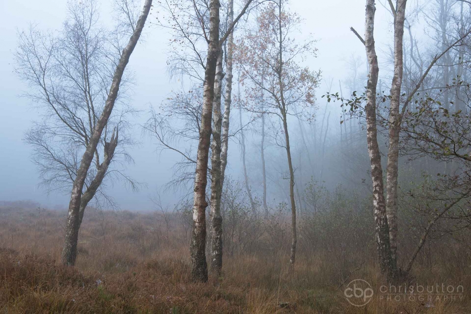 Knightwood Inclosure